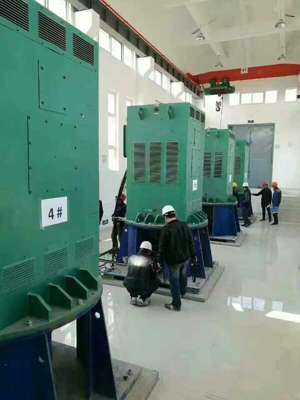 六弓乡某污水处理厂使用我厂的立式高压电机安装现场